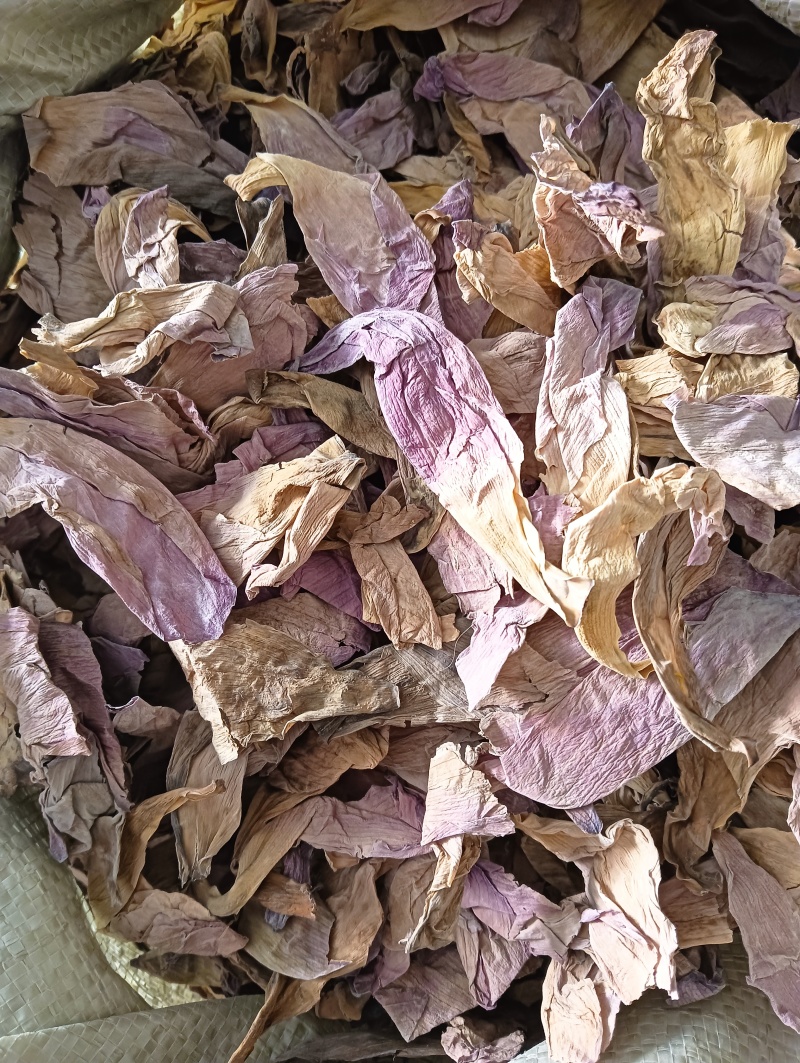 荷花，干荷花，荷花瓣，实物实拍，批发各种中药材，量大优惠
