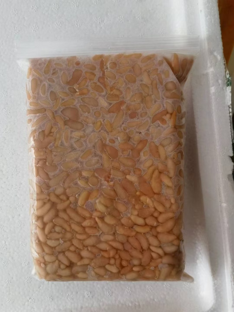 鸡腰子。