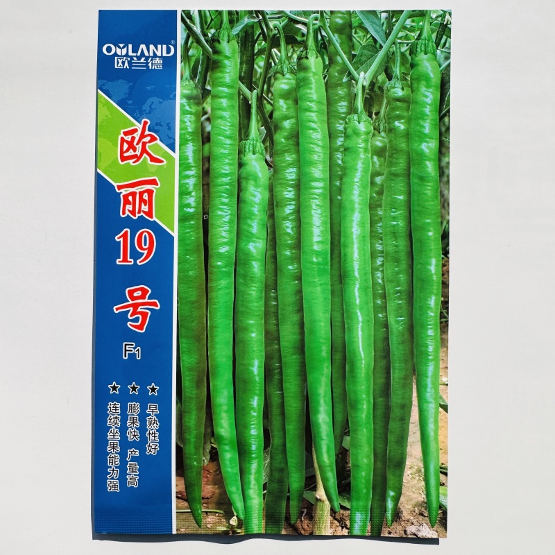 欧兰德辣椒种子欧丽19号长线椒种子香辣早熟薄皮特长高产
