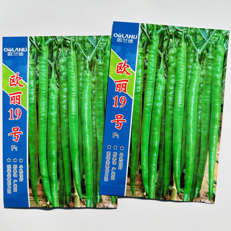 欧兰德辣椒种子欧丽19号长线椒种子香辣早熟薄皮特长高产