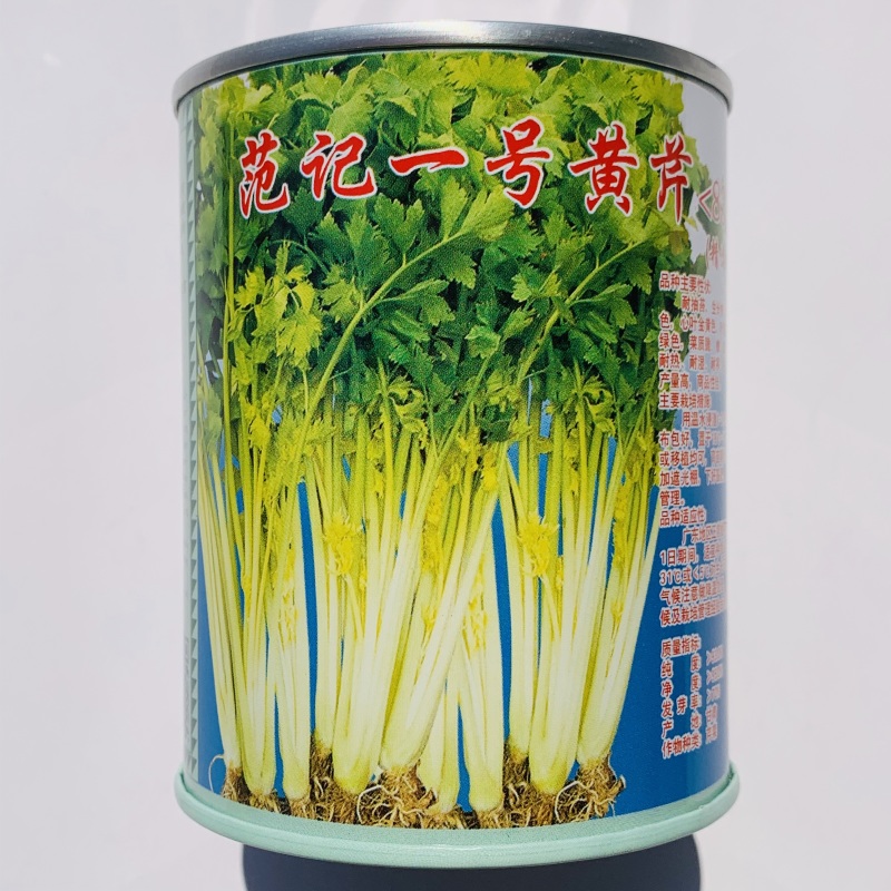 范记一号黄心芹种子广东空心芹菜种子耐热耐湿耐抽苔生长快