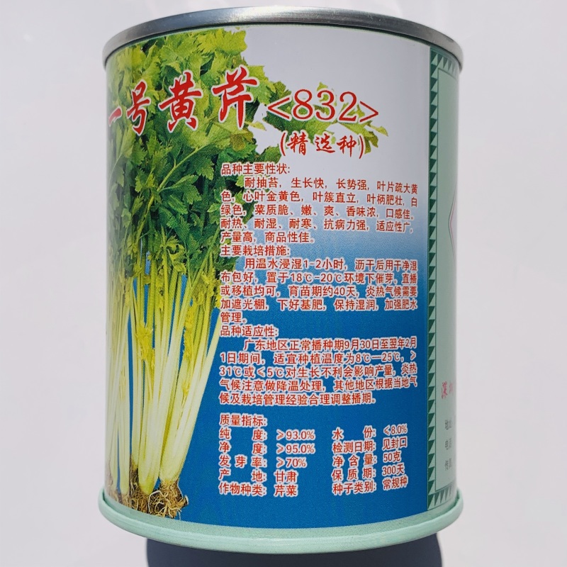范记一号黄心芹种子广东空心芹菜种子耐热耐湿耐抽苔生长快