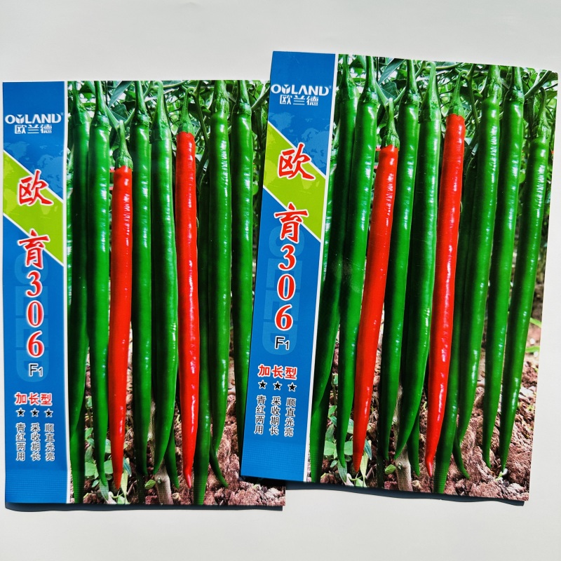 欧育306辣椒种子青红两用加长型线椒种子辣味浓香椒条顺直
