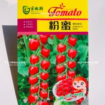 粉蜜小番茄种子味甜果实圆球型红色小番茄种子水果番茄种子