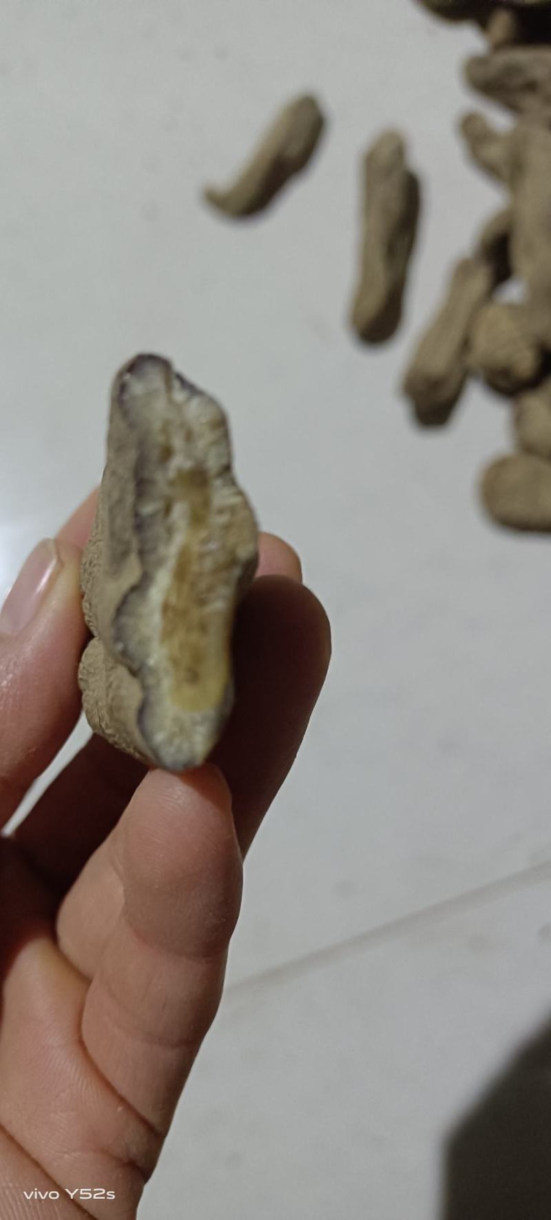 乌天麻各种滋补类药材应有尽有平台加实体一站式服务售后无怃