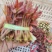 山东香椿芽新泰头茬红油香椿芽产地现摘现发货可代发货全国各