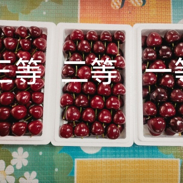 樱桃🍒