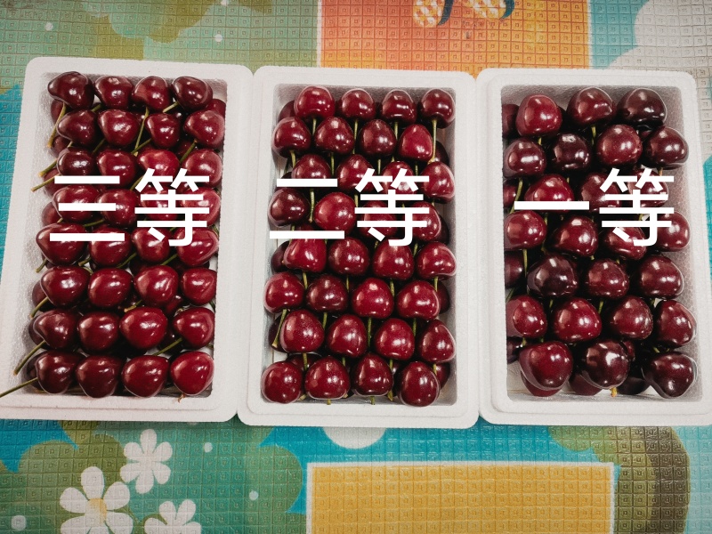 樱桃🍒