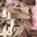 白术炒白术炒白术2年生白术无硫干货