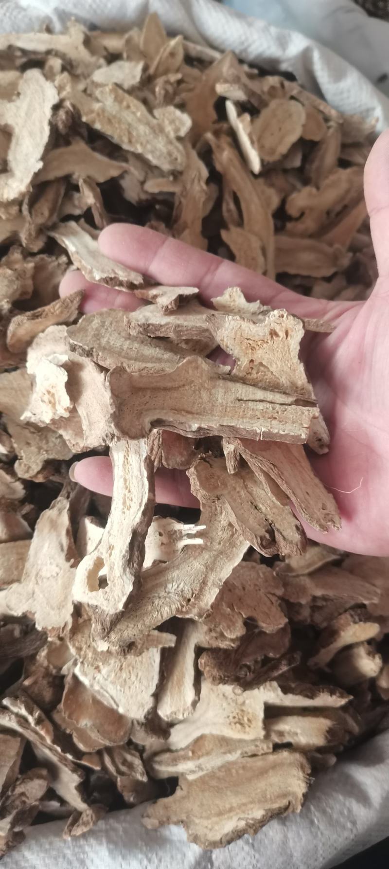 白术炒白术炒白术2年生白术无硫干货