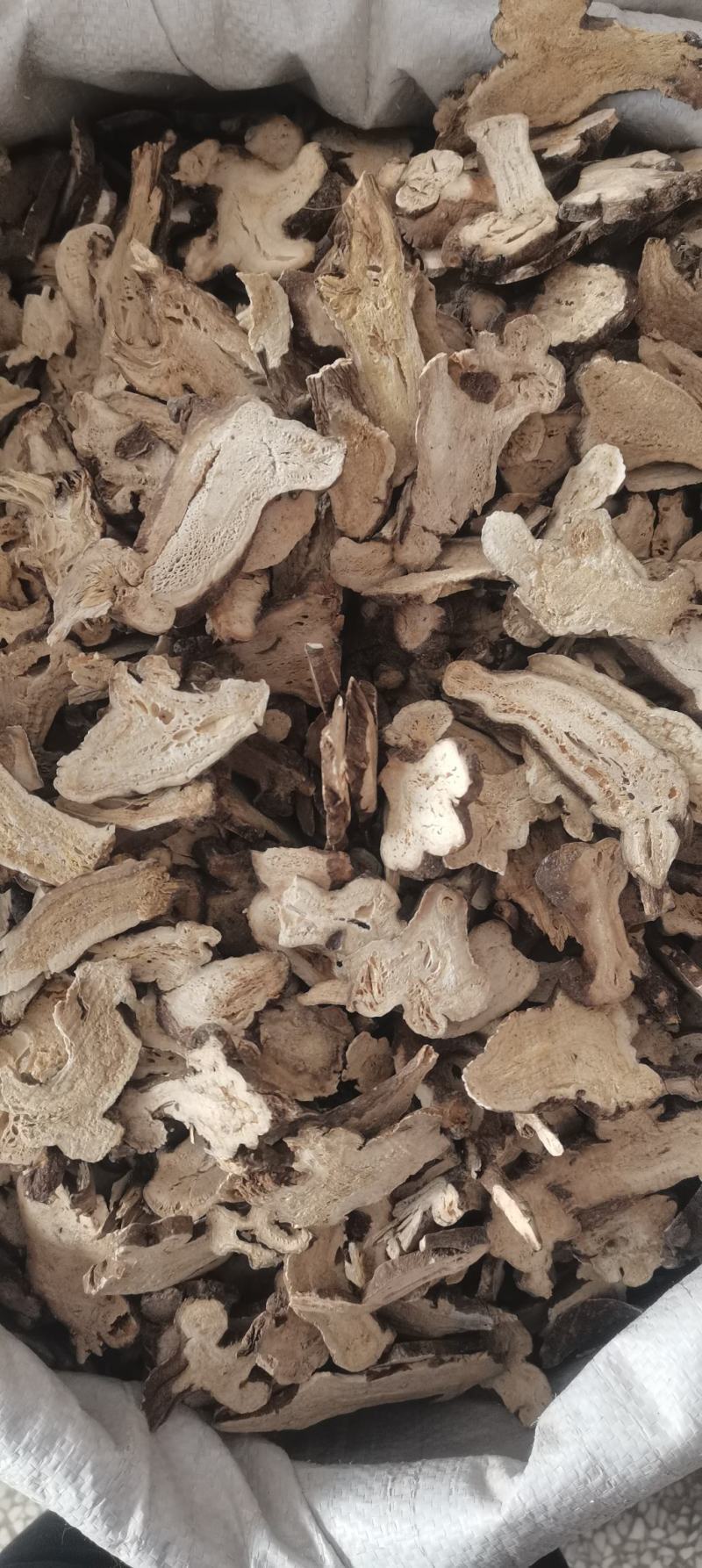 白术炒白术炒白术2年生白术无硫干货