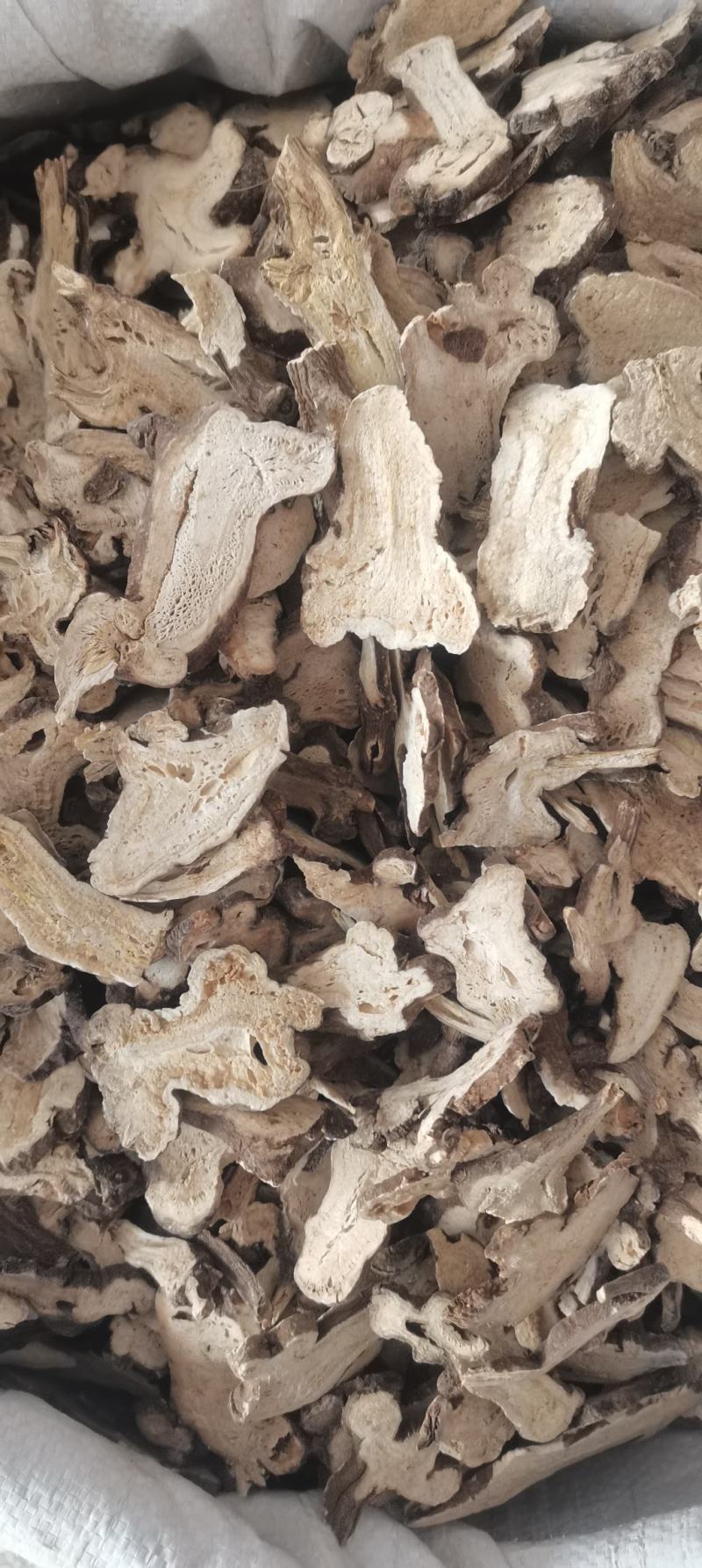 白术炒白术炒白术2年生白术无硫干货