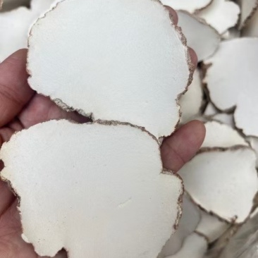 产地直达，一手货源，特大虎乳片