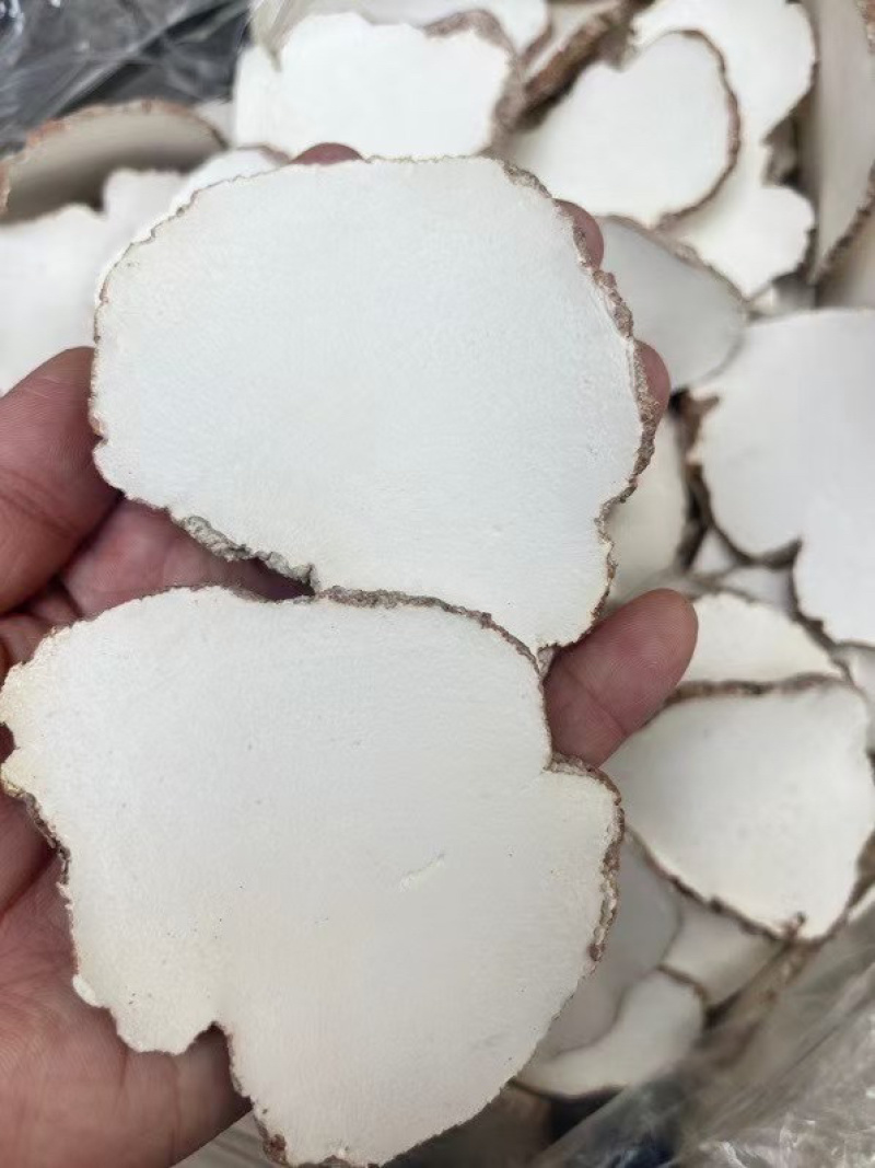 产地直达，一手货源，特大虎乳片
