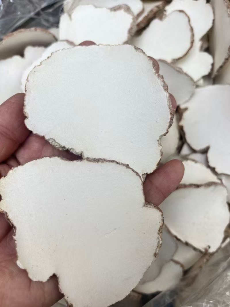 产地直达，一手货源，特大虎乳片