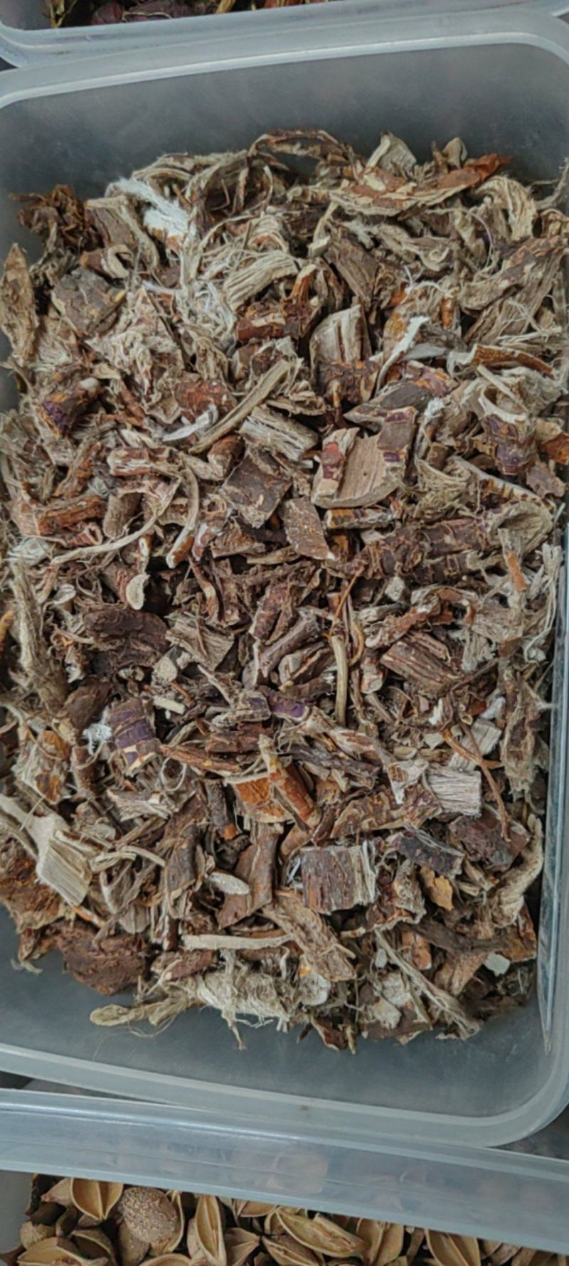 桑白皮大货价格
