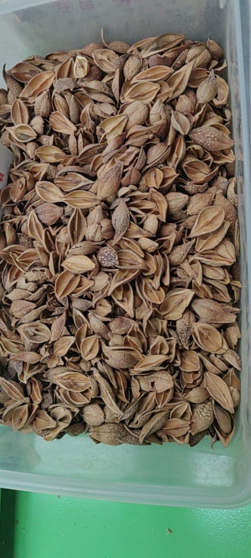 黄翘大货价格