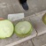 青萝卜