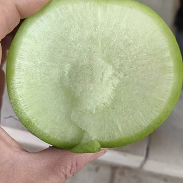 青萝卜