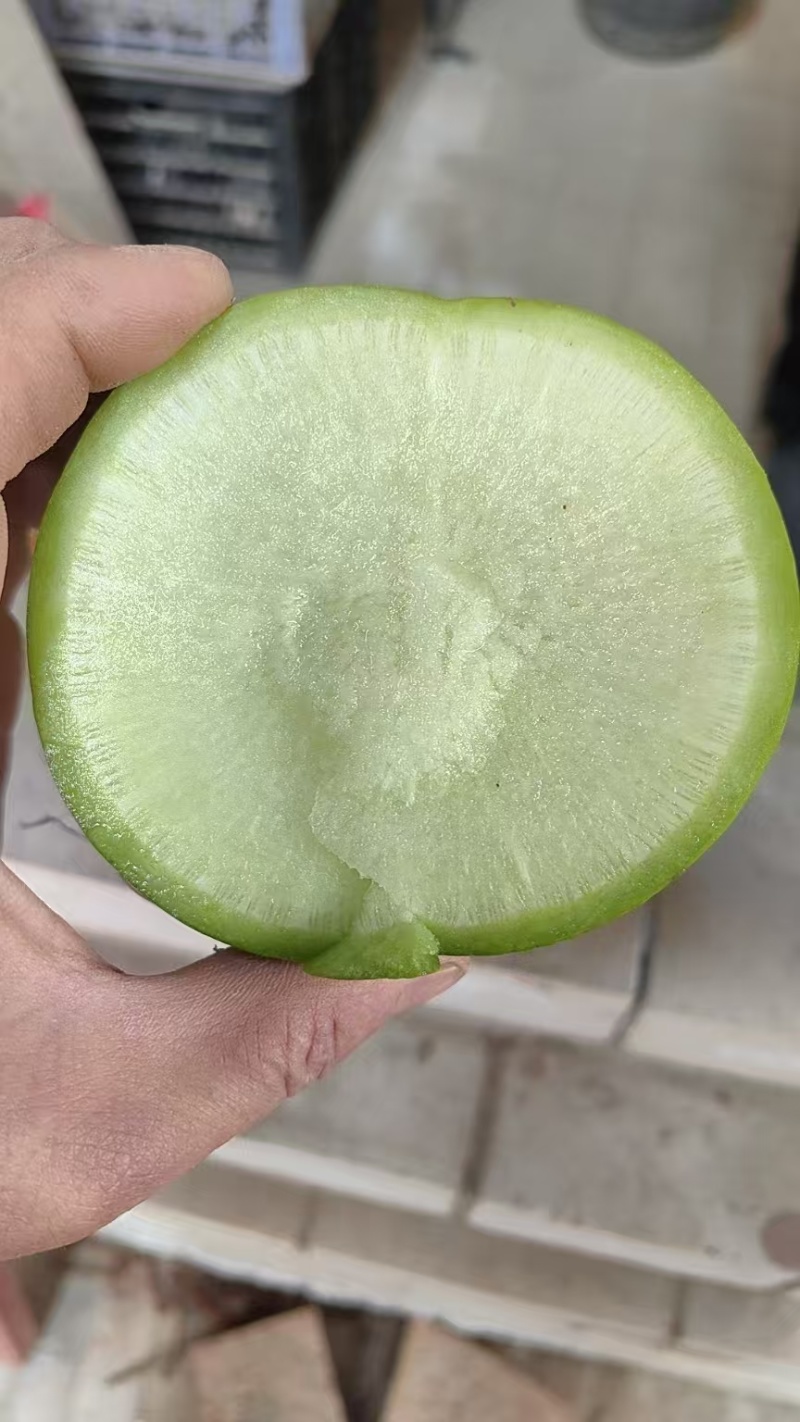 青萝卜