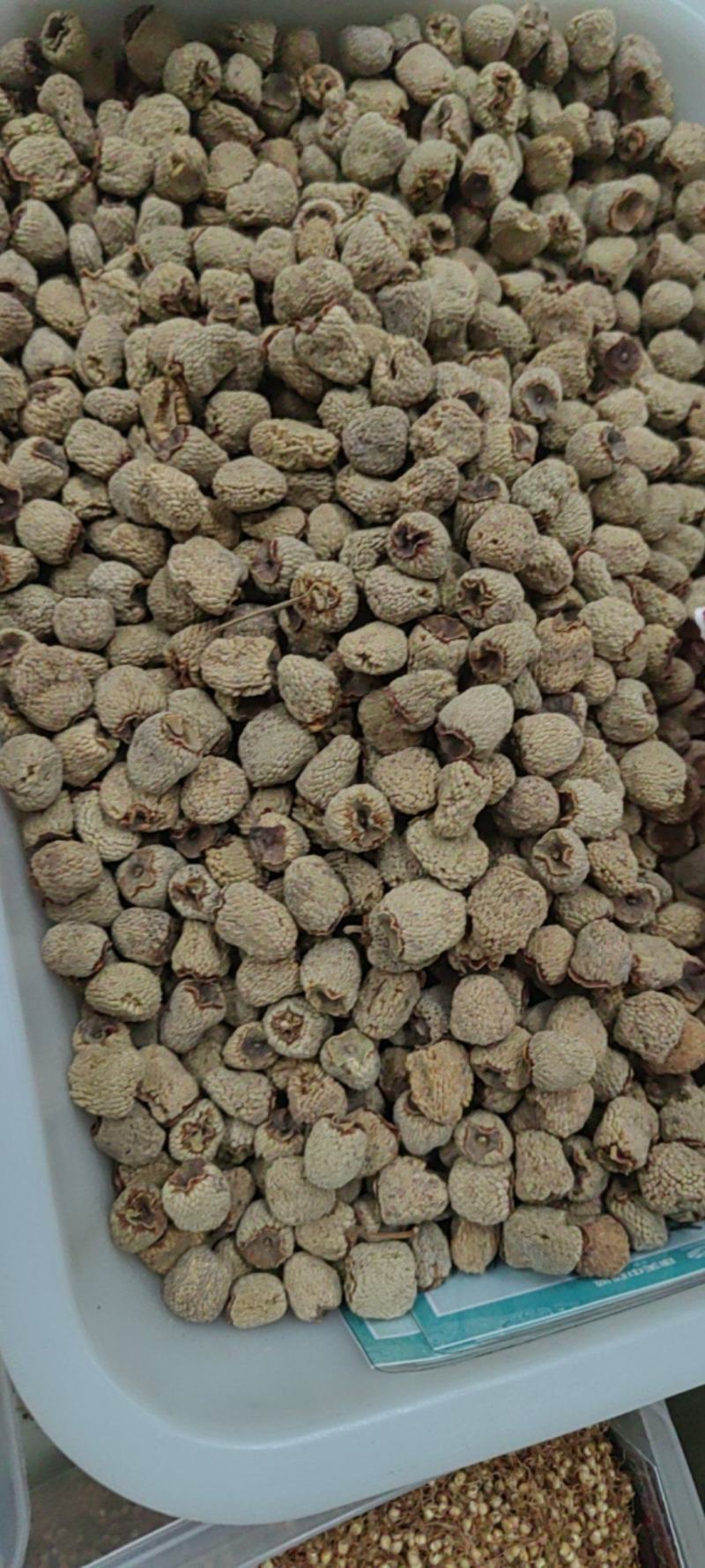 覆盆子大货价格