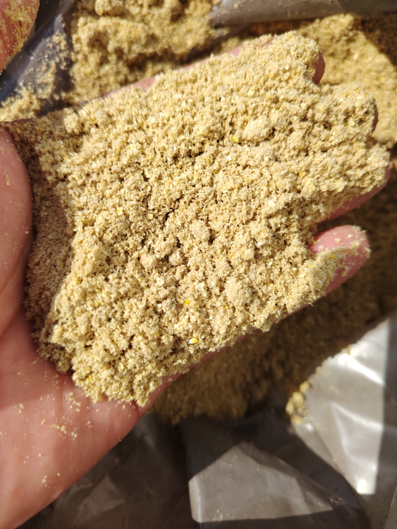 熟化玉米面畜禽水产养殖