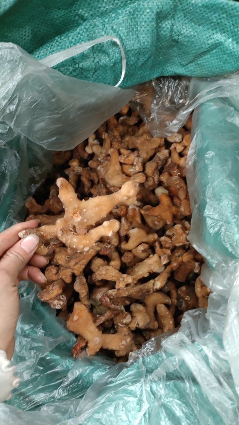 黄精产地四川宜宾，姜形倒苗多花甜黄精，产地批发
