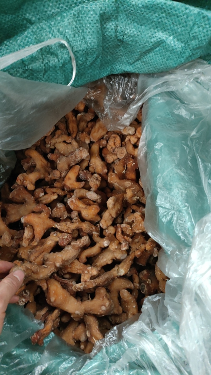黄精产地四川宜宾，姜形倒苗多花甜黄精，产地批发