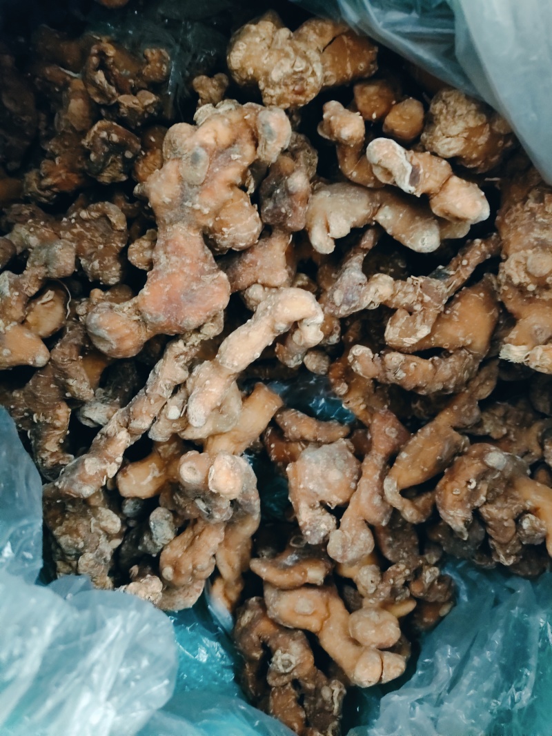 黄精，产地四川宜宾姜形多花，甜黄精，产地直销可线下考察