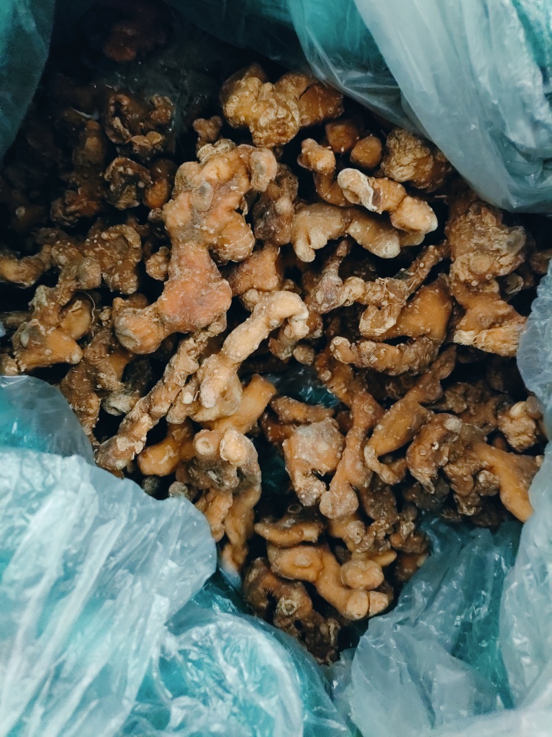黄精，产地四川宜宾姜形多花，甜黄精，产地直销可线下考察
