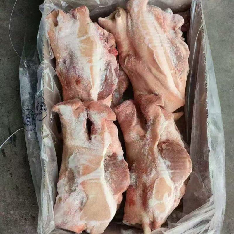 肥猪5-8无耳头