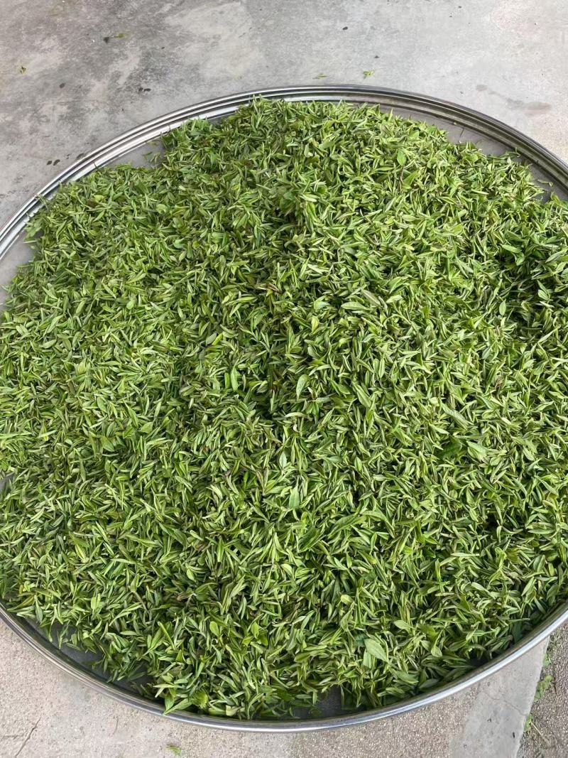 开售《信阳毛尖2025开园头采》质量可靠新茶现炒