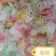 虾片五彩虾片廊坊虾片虾味片***********