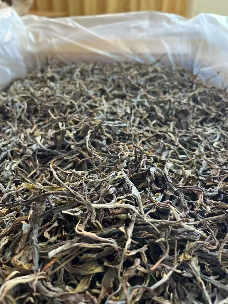 生态普洱春茶（寻找茶叶经销商，收购商老板长期合作）
