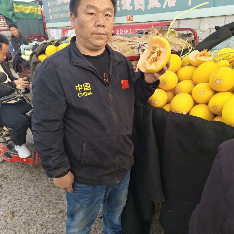 西州蜜大量有货，对接全国市场，电商平台，欢迎新老客户前来合作