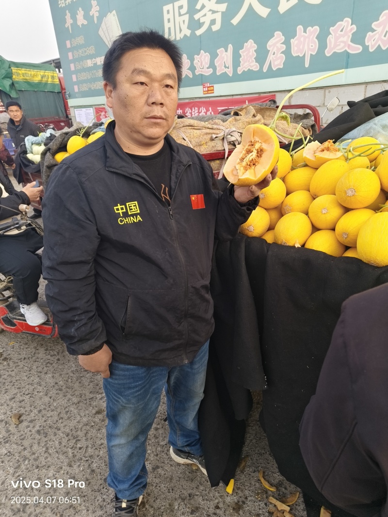 西州蜜大量有货，对接全国市场，电商平台，欢迎新老客户前来合作