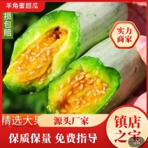 山东羊角蜜甜瓜博洋六一甜瓜电商一件代发带收全平台对接