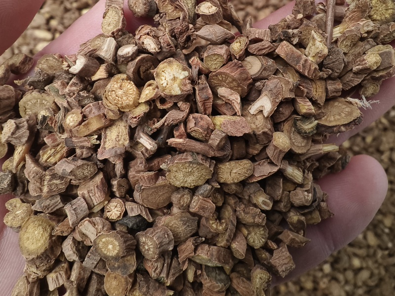 黄芩新货黄芩无硫黄芩产地直销大货批发零售假一赔十