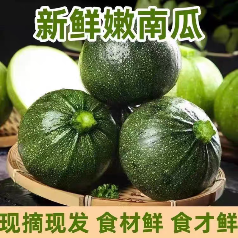 小南瓜大量上市产地一手货源量大从优欢迎订购