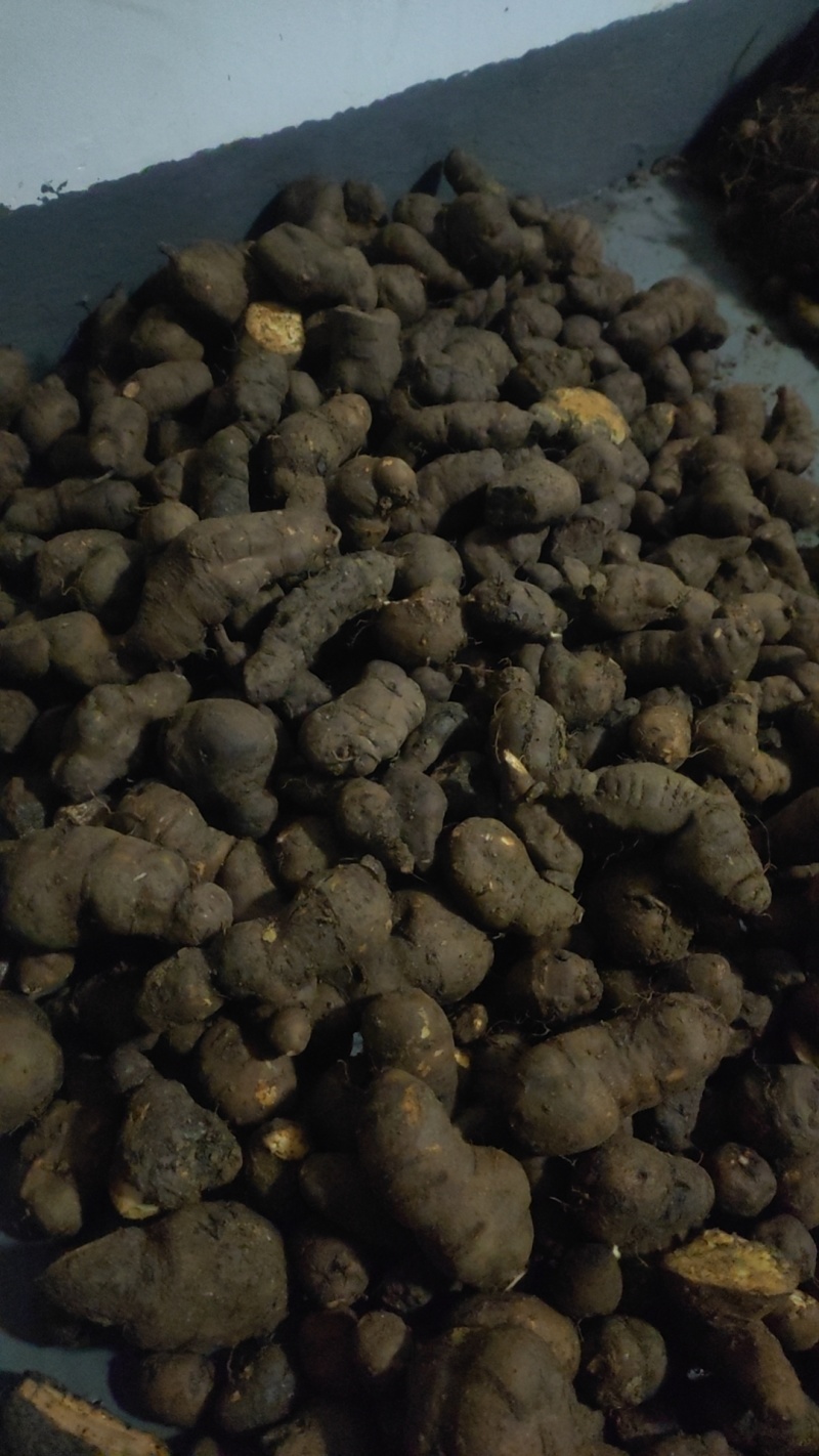 贵州三叶青，白肉黑皮