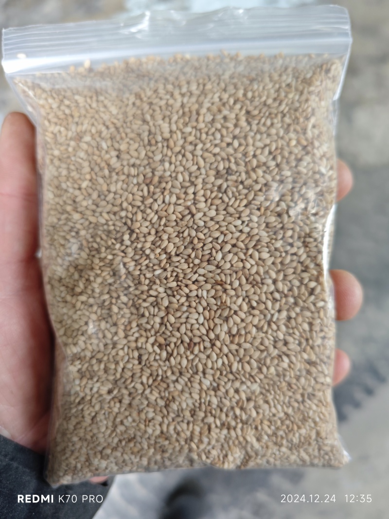 精品熟芝麻、食品级、磨酱、磨油各种火侯，颗颗醇香