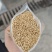 精品熟芝麻、食品级、磨酱、磨油各种火侯，颗颗醇香