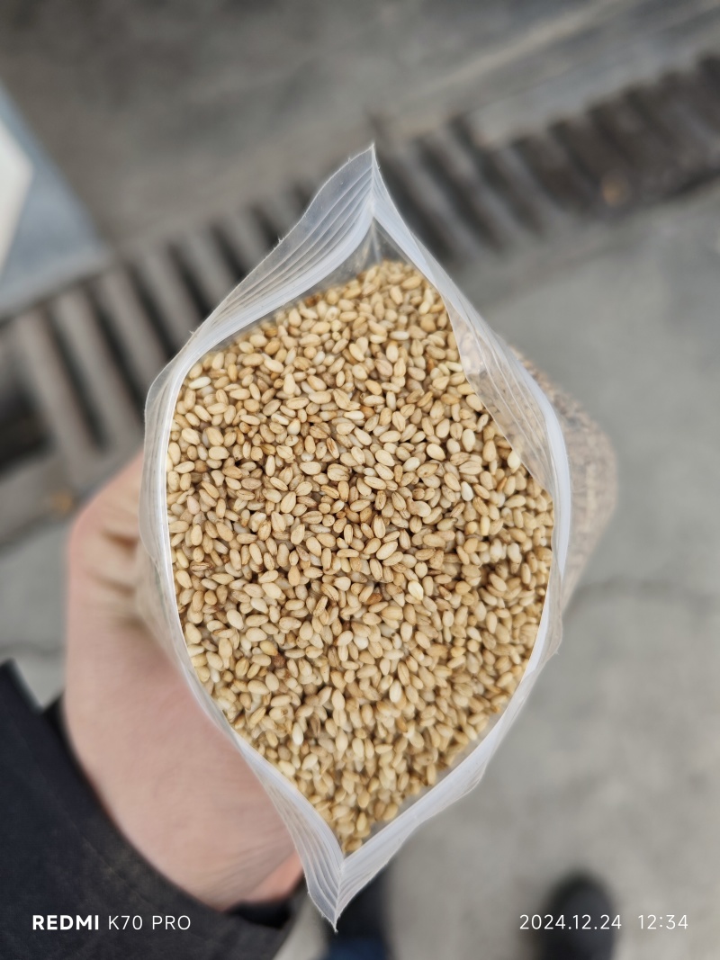 精品熟芝麻、食品级、磨酱、磨油各种火侯，颗颗醇香