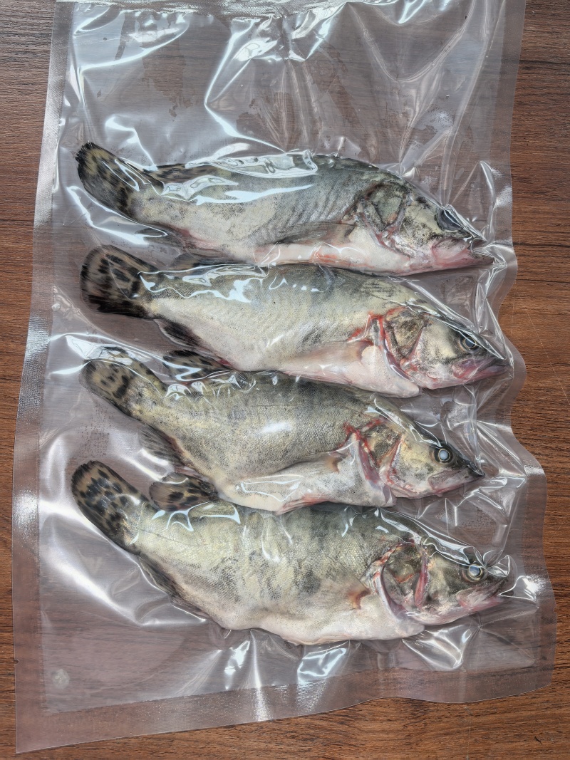 三去锁鲜鳜鱼仔
