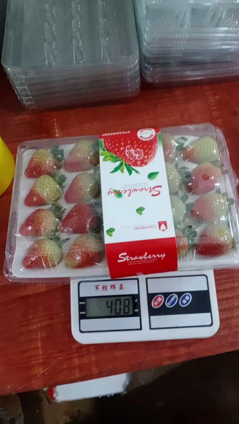 双流草莓，新鲜四季草，营养丰富，口感独特，现摘现发