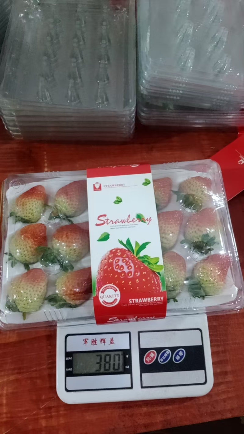 双流草莓，新鲜四季草，营养丰富，口感独特，现摘现发