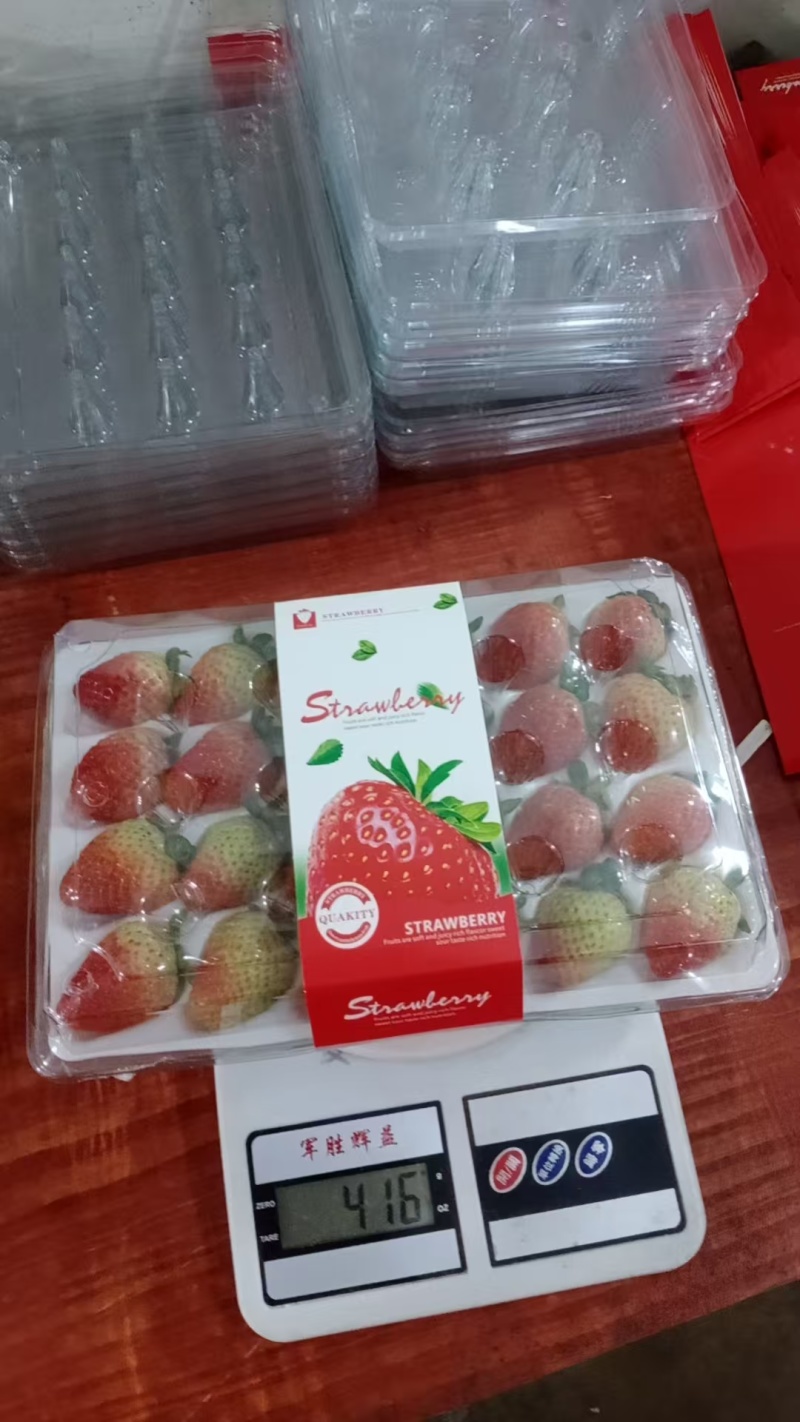 双流草莓，新鲜四季草，营养丰富，口感独特，现摘现发