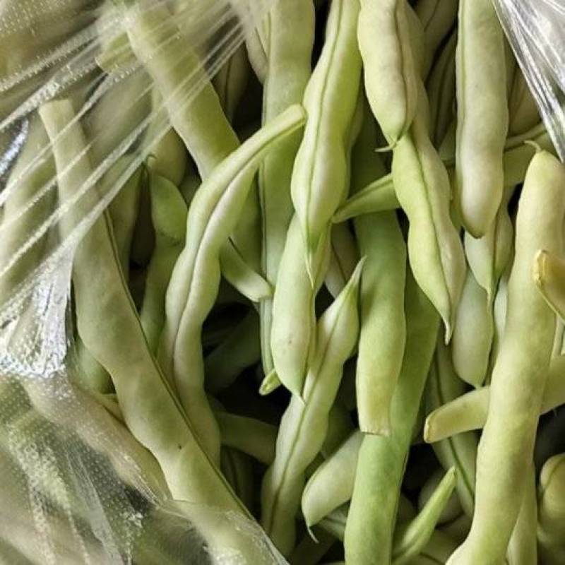 平度芸豆大量上市了