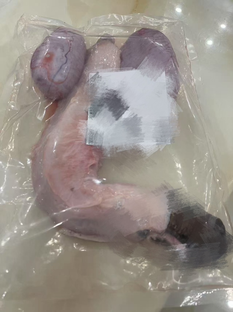 驴鞭驴三宝