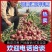 河南开封二红洋葱紫葱大红洋葱-产地直发-规格齐全
